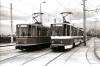 219351